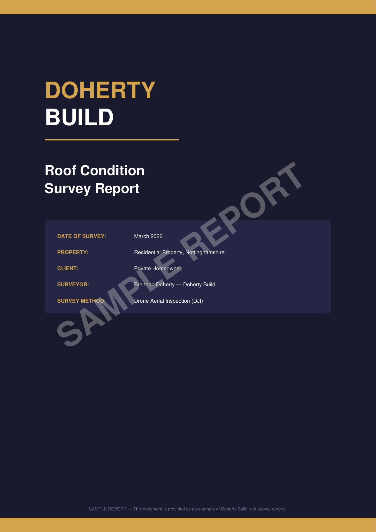 Sample Doherty Build Roof Survey Report showing professional drone imagery and detailed findings